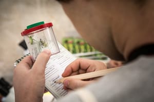 Settimana dedicata alla biodiversità: il National Biodiversity Future Center (NBFC) promuove la Biodiversity Sampling Week - BSW dal 12 al 18 maggio