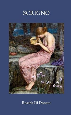 Recensione libro "Scrigno" di Rosaria Di Donato