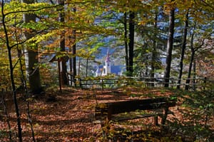AUTUNNO A TARVISIO: TUTTI I SENTIERI DEL FOLIAGE