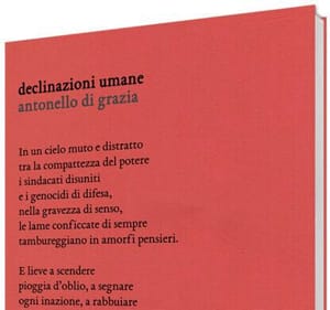 Recensione libro "Declinazioni umane" Antonello Di Grazia (Eretica Edizioni)