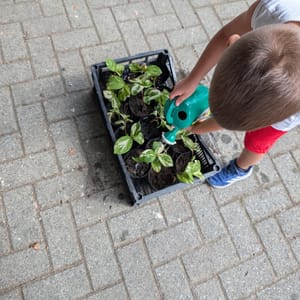 “CRESCERE NELLA NATURA”: COSI’ I BAMBINI DELL’ASILO INFANTILE DI GALLIATE SI SONO PRESI CURA DELL’ORTO BOTANICO DELL’ASSOCIAZIONE GENITORI STH