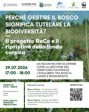Perché gestire il bosco significa tutelare la biodiversità?