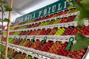PRESENTATA OGGI IN REGIONE A UDINE LA 55^ MOSTRA REGIONALE DELLA MELA DI PANTIANICCO