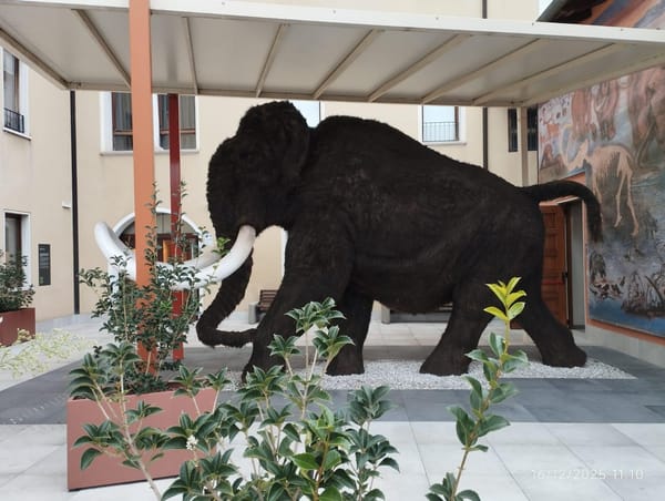 Comune di Pordenone Le attività di marzo nei Musei Civici