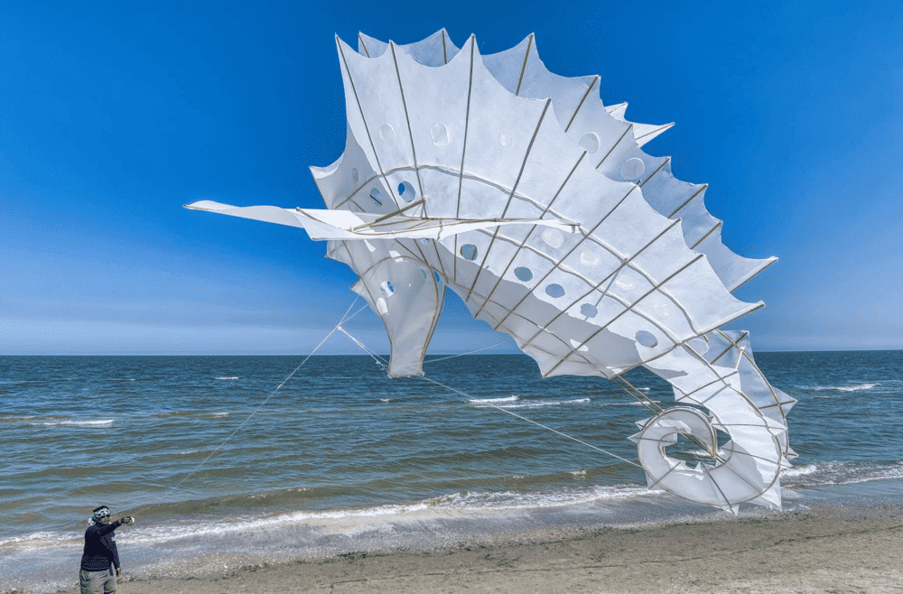 ARTEVENTO - Festival Internazionale dell'Aquilone torna a Cervia Dal 4 aprile al 3 maggio