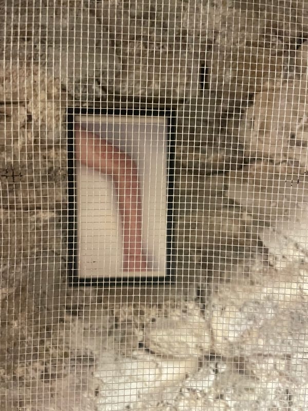 Sette Martiri: la nuova proposta di Alice nello spazio latente