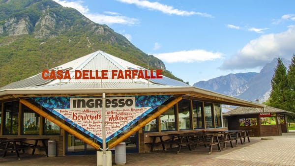 Casa delle farfalle, con "Ali alla biodiversità" riaprono al pubblico le serre tropicali di Bordano. Nuova stagione da sabato 14 marzo
