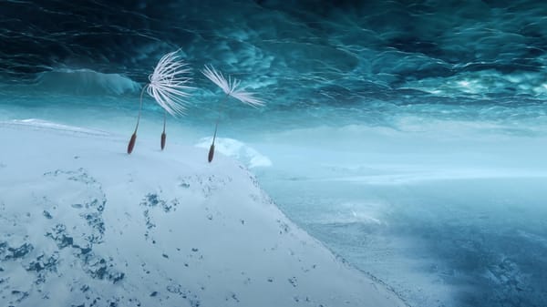 ANTEPRIMA DEL FESTIVAL DELL’ACQUA DI STARANZANO 2026 Quarta edizione Mercoledì 22 aprile