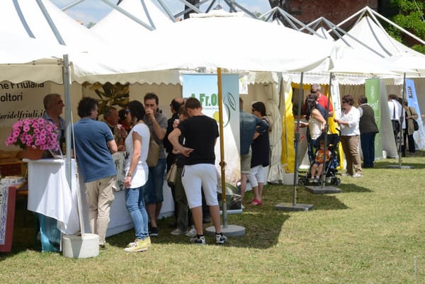 MANZANO DAL 22 AL 24 MAGGIO - CS OLIO E DINTORNI: A VILLA MASERI TRE GIORNI DEDICATI ALL’EXTRAVERGINE DEL FRIULI VENEZIA GIULIA